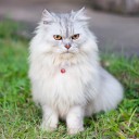 สมาชิกหมายเลข 1298978