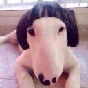 สมาชิกหมายเลข 1728254