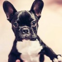 สมาชิกหมายเลข 2144007