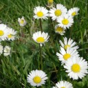 สมาชิกหมายเลข 2144125