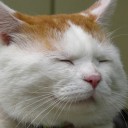 สมาชิกหมายเลข 2536804