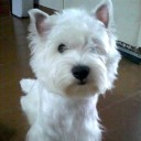 สมาชิกหมายเลข 1299371