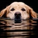 ขอเปลี่ยนเป็นแบบหมายเลขครับ