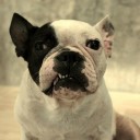 สมาชิกหมายเลข 1506583