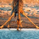 สมาชิกหมายเลข 1300280