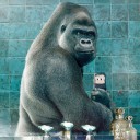 อ๊อฟฟี่