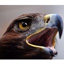 สมาชิกหมายเลข 901590