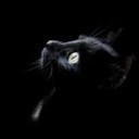 สมาชิกหมายเลข 901672