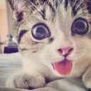 สมาชิกหมายเลข 1590449