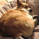 ชิลลิ่งเกิร์ล