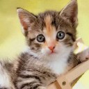 สมาชิกหมายเลข 1730223