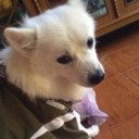 มินมินเดโร่