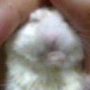 สมาชิกหมายเลข 902396