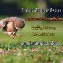 สมาชิกหมายเลข 1301179