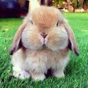 สมาชิกหมายเลข 1004742