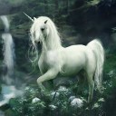 สมาชิกหมายเลข 1142628