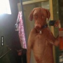 สมาชิกหมายเลข 1696771