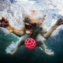 สมาชิกหมายเลข 2146090