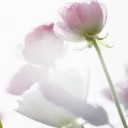 สมาชิกหมายเลข 892218