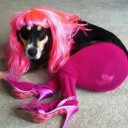 สมาชิกหมายเลข 898800