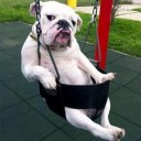 สมาชิกหมายเลข 1663765