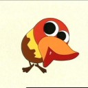 นกแล้วนกอีก