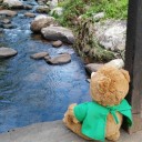 สมาชิกหมายเลข 2626262