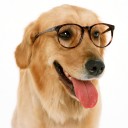 สมาชิกหมายเลข 903157