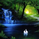 จำปาขาว