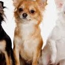 สมาชิกหมายเลข 1302292