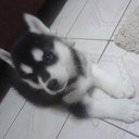 ขออนุญาตเผือกด้วยคน