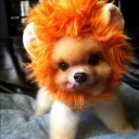 สมาชิกหมายเลข 1455457