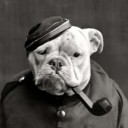 สมาชิกหมายเลข 2797158