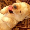 สมาชิกหมายเลข 857871