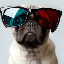 สมาชิกหมายเลข 2046955