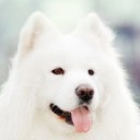 สมาชิกหมายเลข 1307596