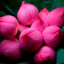 สมาชิกหมายเลข 3386170