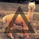 สมาชิกหมายเลข 1650602