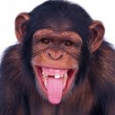 สมาชิกหมายเลข 1717689