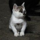 สมาชิกหมายเลข 2540841