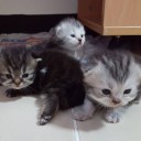 สมาชิกหมายเลข 1905577