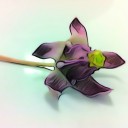 สมาชิกหมายเลข 2943351