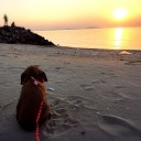 สมาชิกหมายเลข 854455