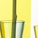 สมาชิกหมายเลข 731009