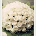 สมาชิกหมายเลข 904212