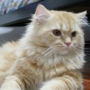 สมาชิกหมายเลข 904255