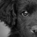 สมาชิกหมายเลข 1189152