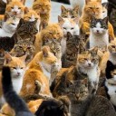 สมาชิกหมายเลข 2148098