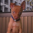 สมาชิกหมายเลข 2943282