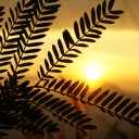 สมาชิกหมายเลข 2943939